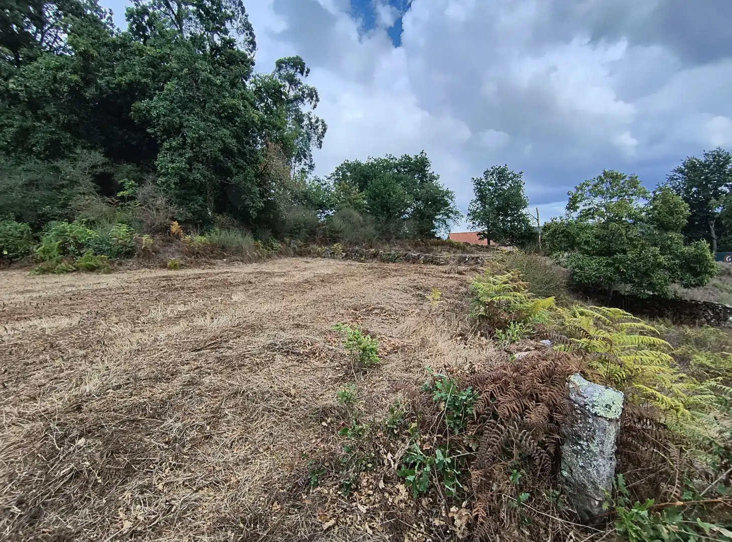 Terrenos y solares en venta en Mondariz, imagen 7