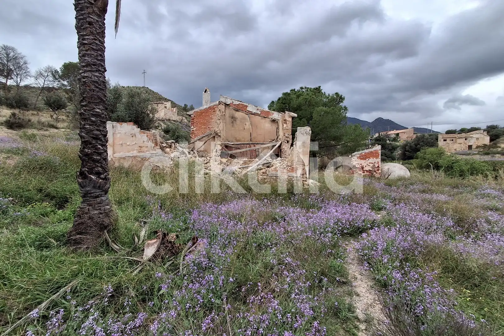 Casa rústica en venda a Ricote, imagen 5