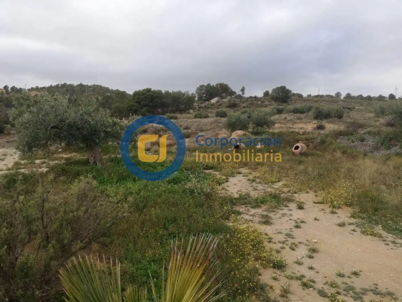 House for sale in Pedanías Norte, imagen 6