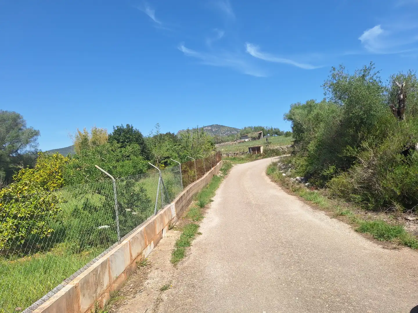 Rural land for sale in Sant Llorenç des Cardassar, imagen 4