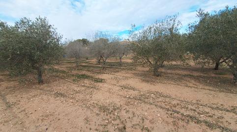 Foto 5 de Residencial en venda a Calle Río Guadiana, Sol y Luz, San Vicente del Raspeig / Sant Vicent del Raspeig