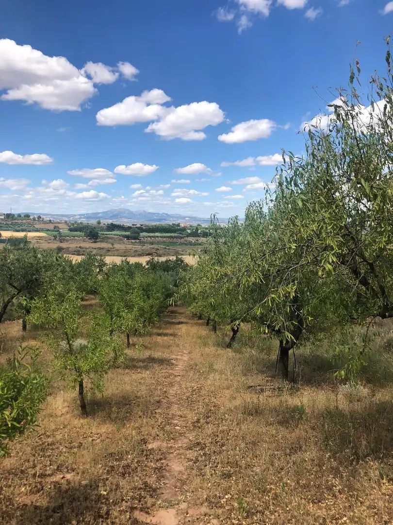 Rural land for sale in Lardero, imagen 5