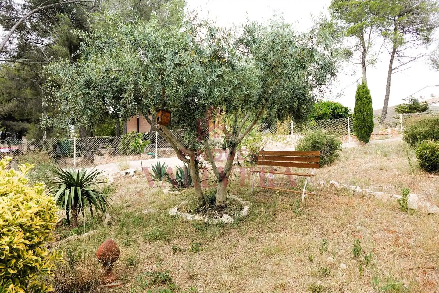 Jardí de Casa o xalet en venda en Cabra del Camp