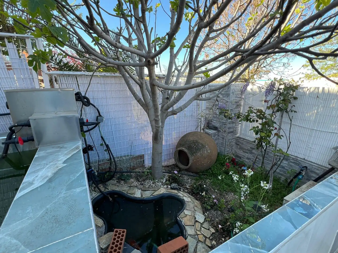 Jardín de Casa o chalet en venta en Rivas-Vaciamadrid con Aire acondicionado, Calefacción y Jardín privado