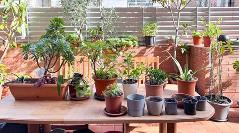 Photo 4 of Planta baja for sale in Carrer Foneria, La Marina del Port, Barcelona