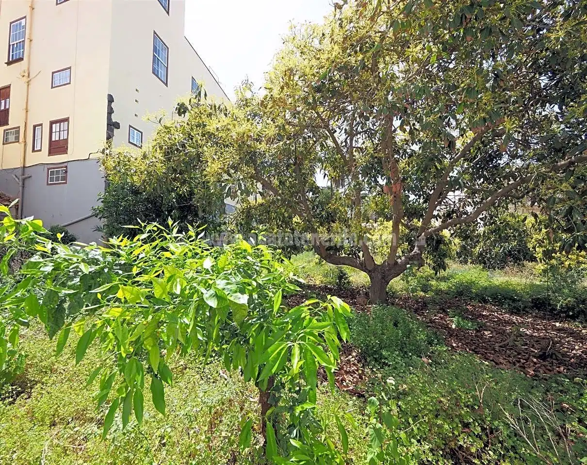 Houses for sale in La Orotava  with Private garden and Terrace