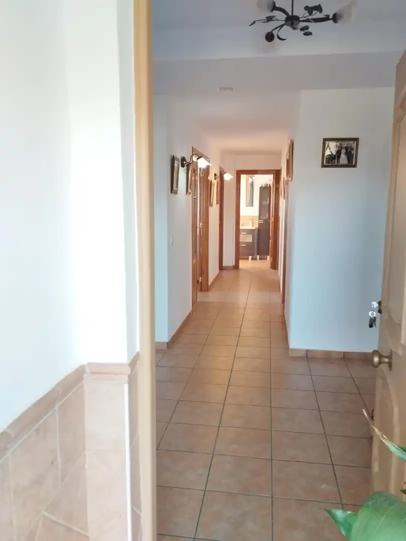 Casa rústica amb terrassa en venda a Camino Polígono 19 Parcela 224 ERMITA. ALBONDON (GRANADA, imagen 25