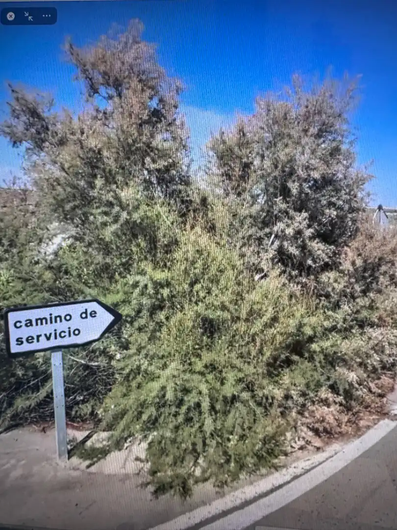 Rustikales Grundstück zum Verkauf in Ctra Jerez - Ctra del Puerto, imagen 5