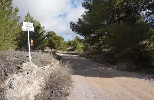 Terreno rústico en venta en Elche de la Sierra