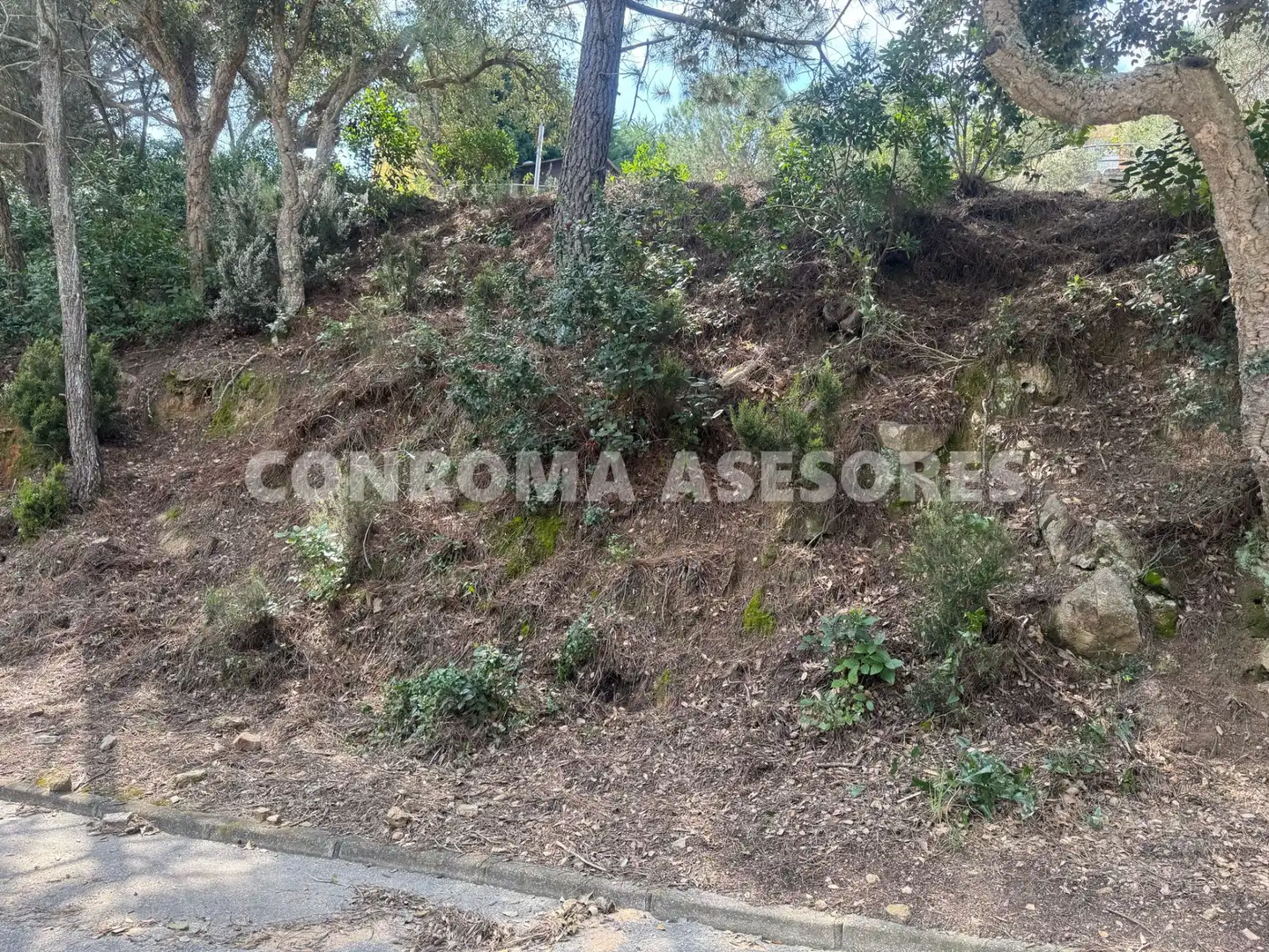Residential land for sale in Serra Brava, imagen 3