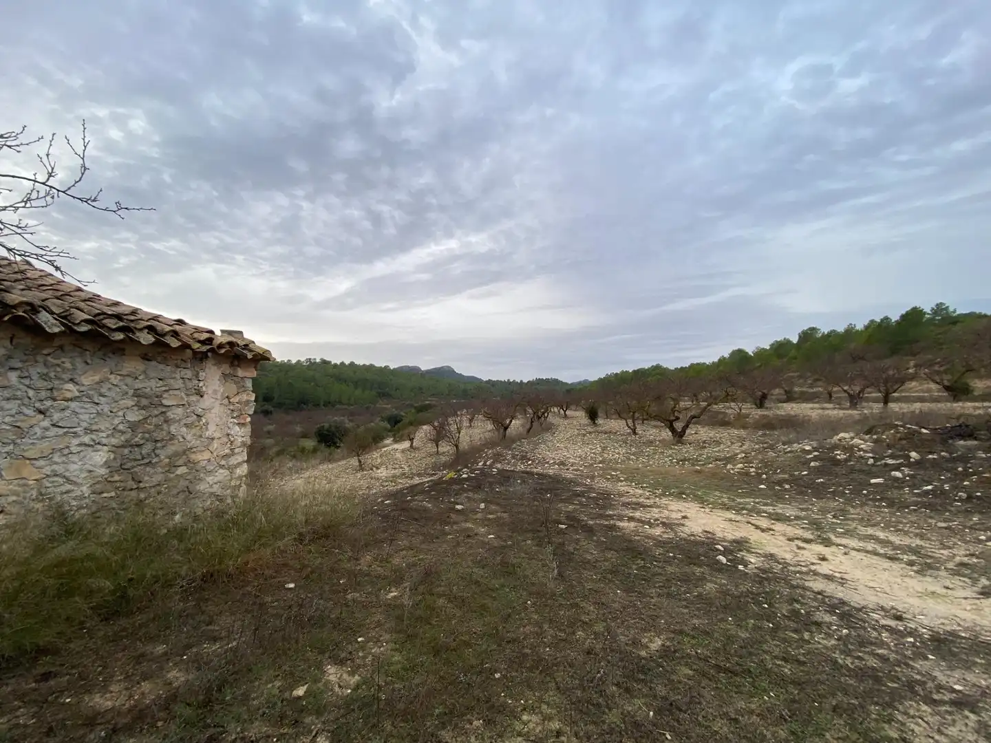 Terreni e lotti in vendita a Moratalla, imagen 17