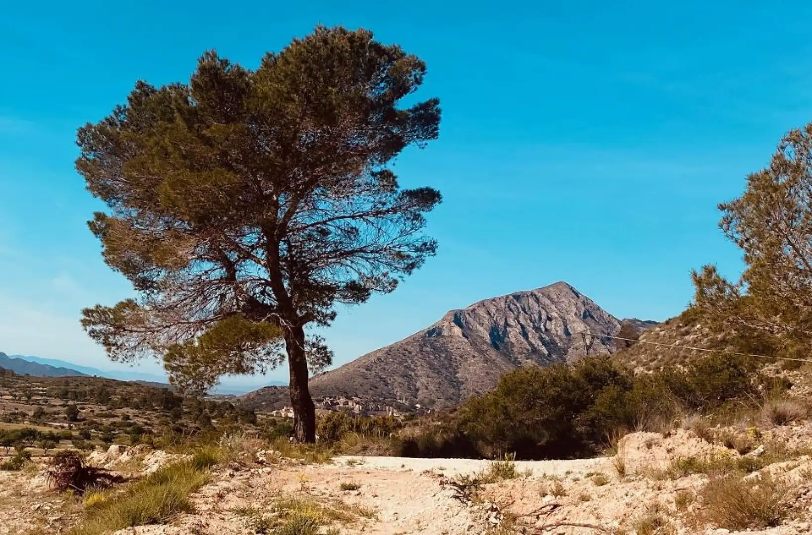 Chalet en venta en Hondón de las Nieves / El Fondó de les Neus, imagen 11