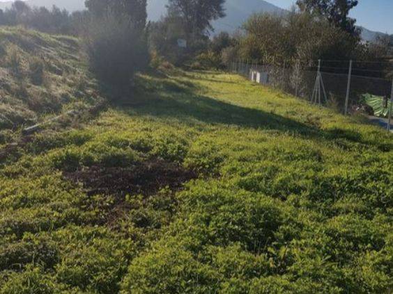 Terreno en Venta en Carretera de Cártama, 7 en Centro
