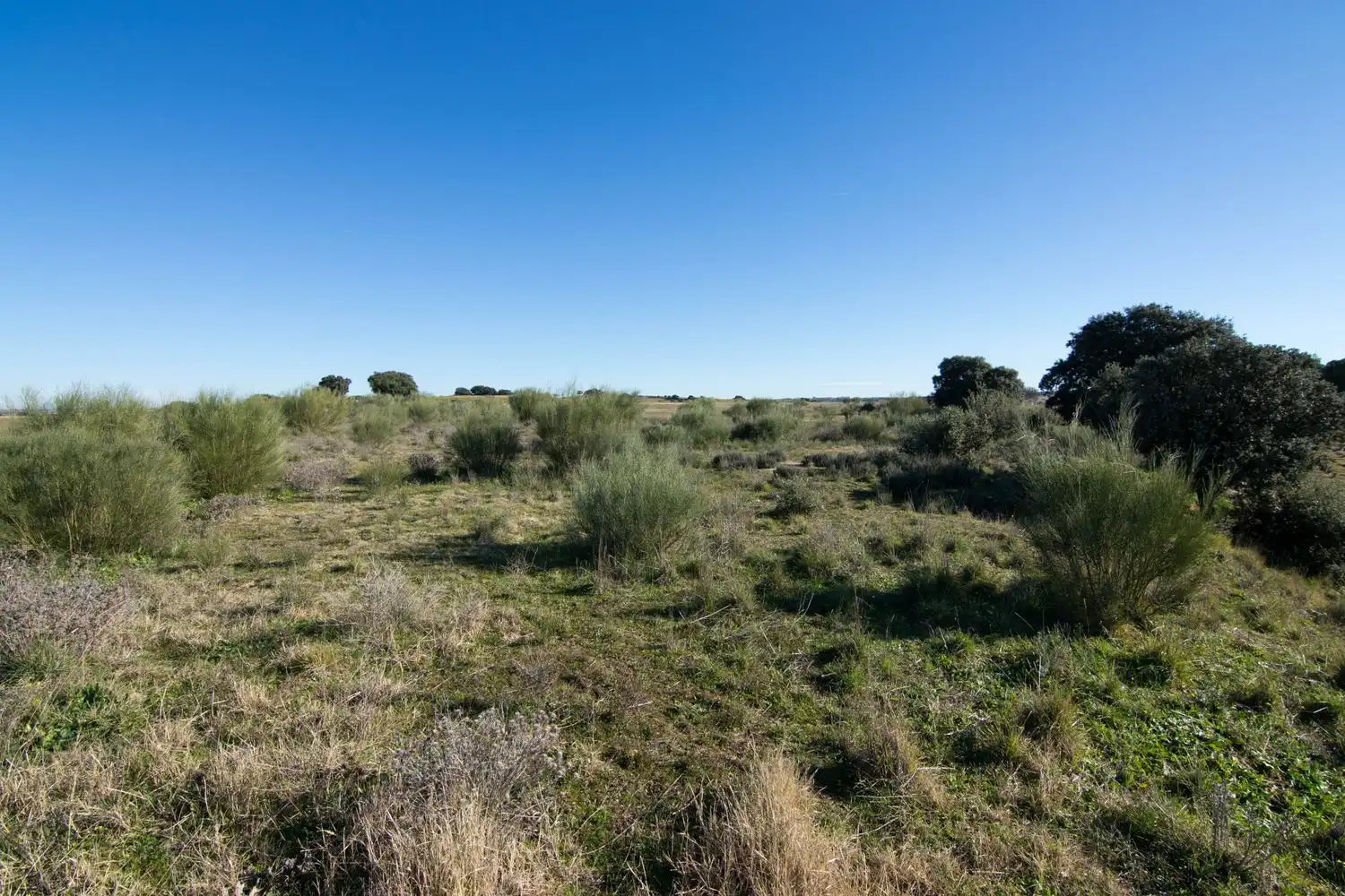 Rural land for sale in Villamanta 0, imagen 2
