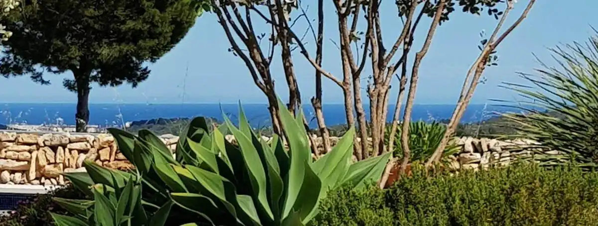 Jardí de Casa o xalet en venda en Cervera del Maestre amb Aire condicionat, Calefacció i Jardí privat