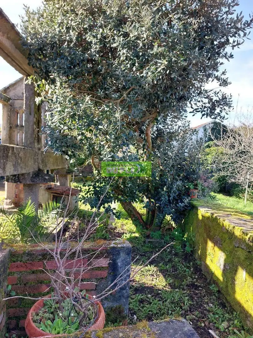 Maison avec jardin à vendre à Zona Fernández Ladreda, imagen 65