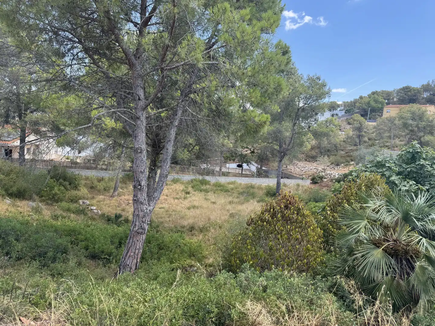 Terreny residencial en venda a Canyelles, imagen 3