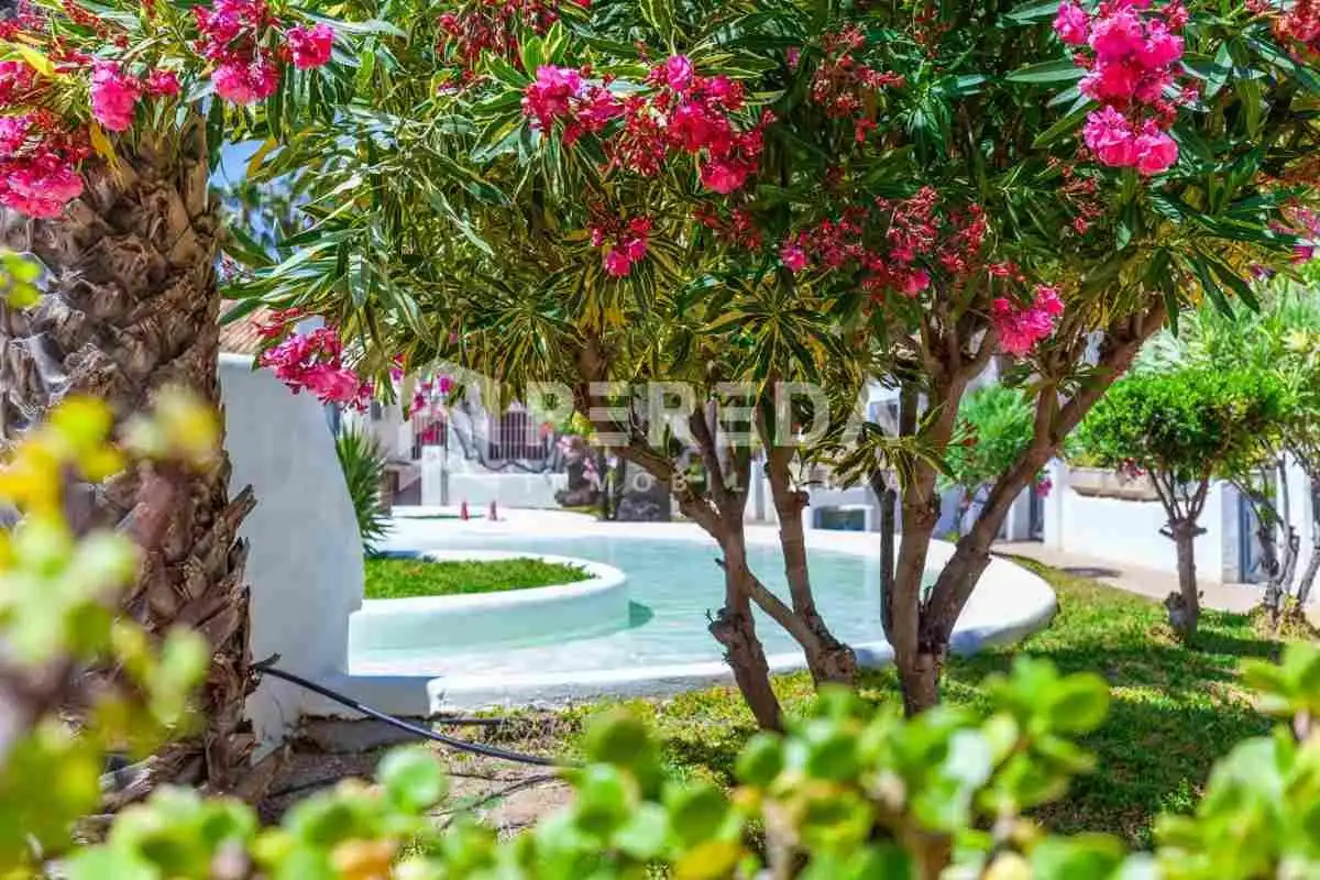 Studio mit Pool zum Verkauf in Avenida ENTREMARES (U), imagen 17