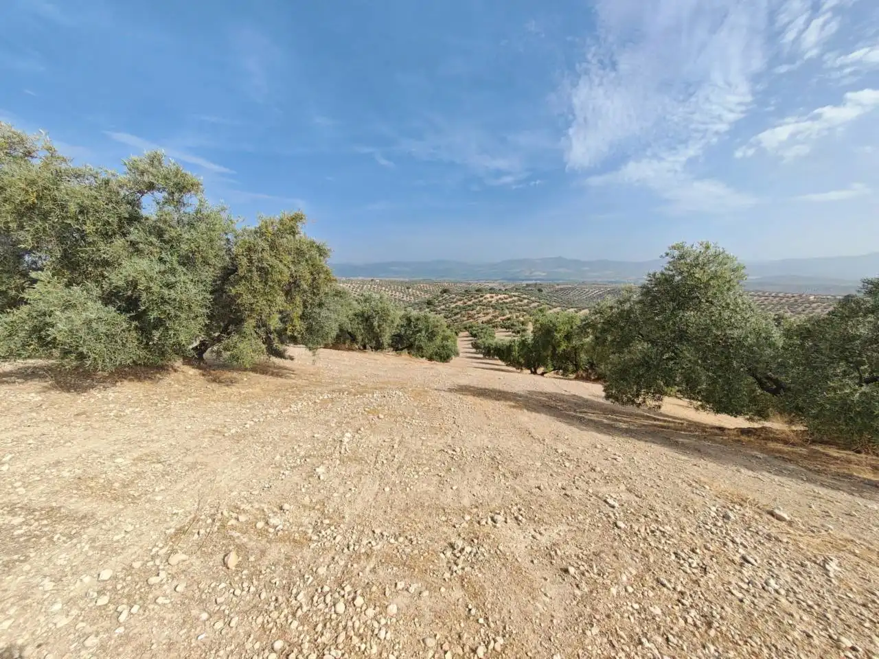 Land for sale in Salar