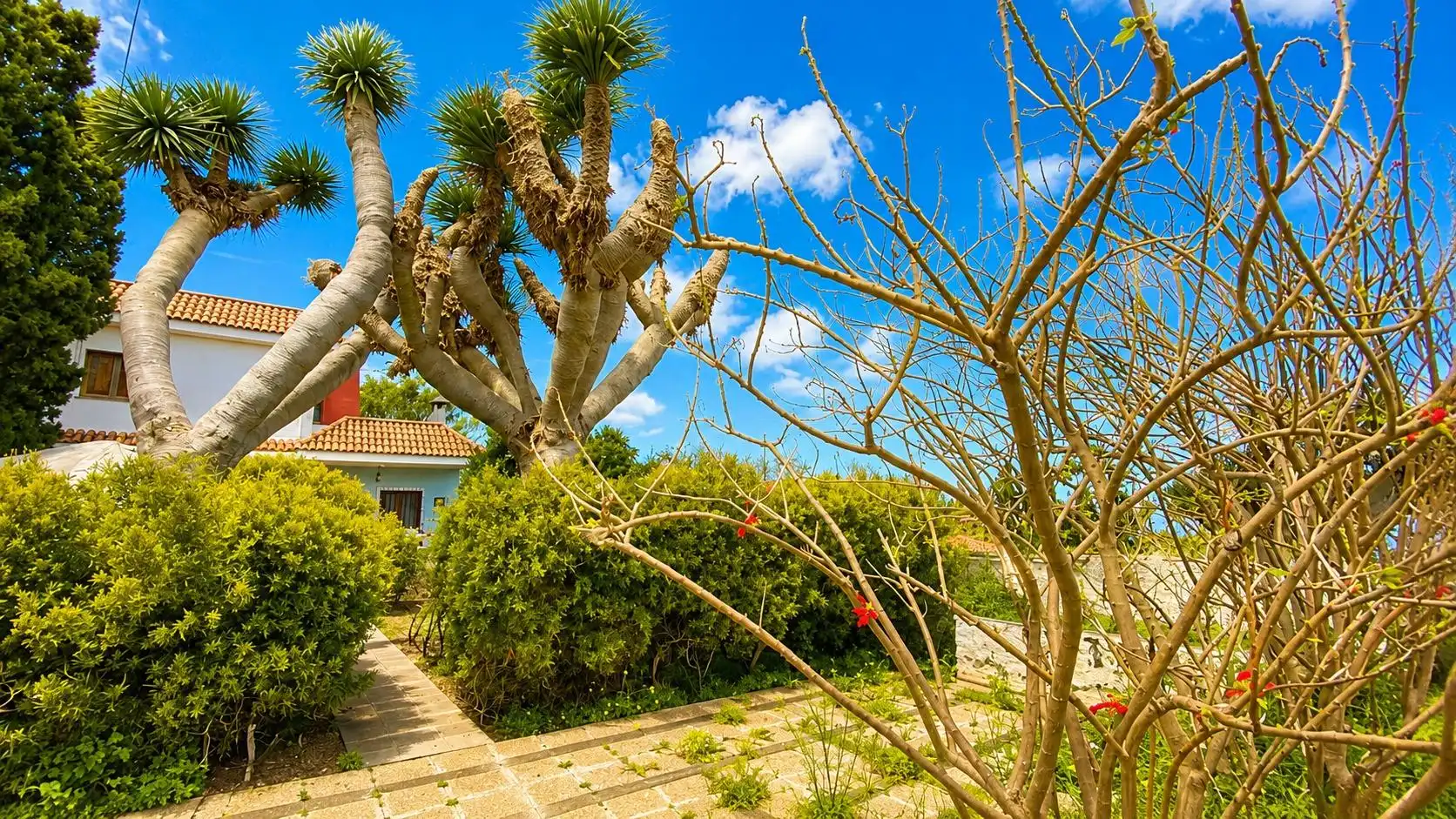 Chalet en venta en El Pris - Juan Fernández, imagen 18