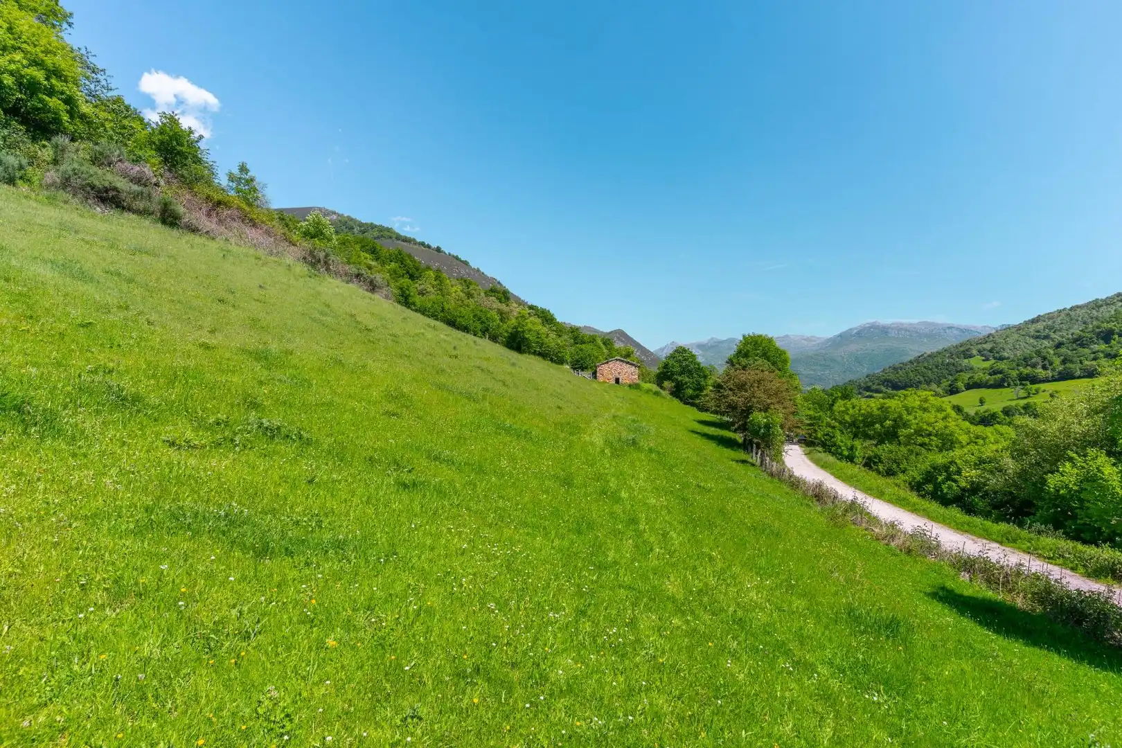 Casa o chalet en venta en Quirós
