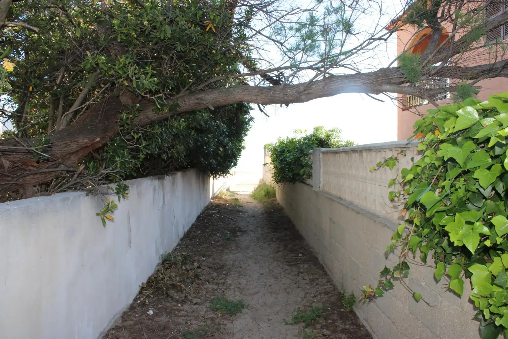 Xalet amb jardí en venda a Devessa - Monte Pego, imagen 34