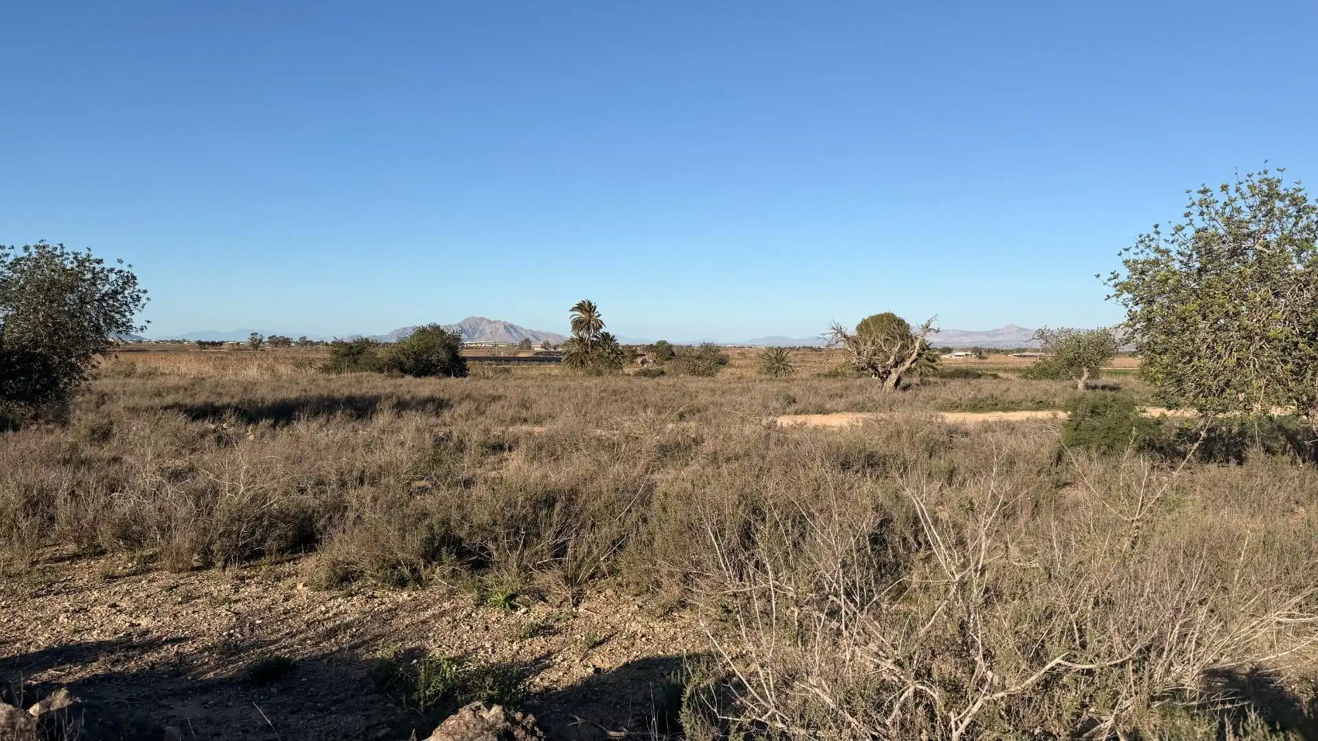 Terreno residencial en venta en La Marina, imagen 21
