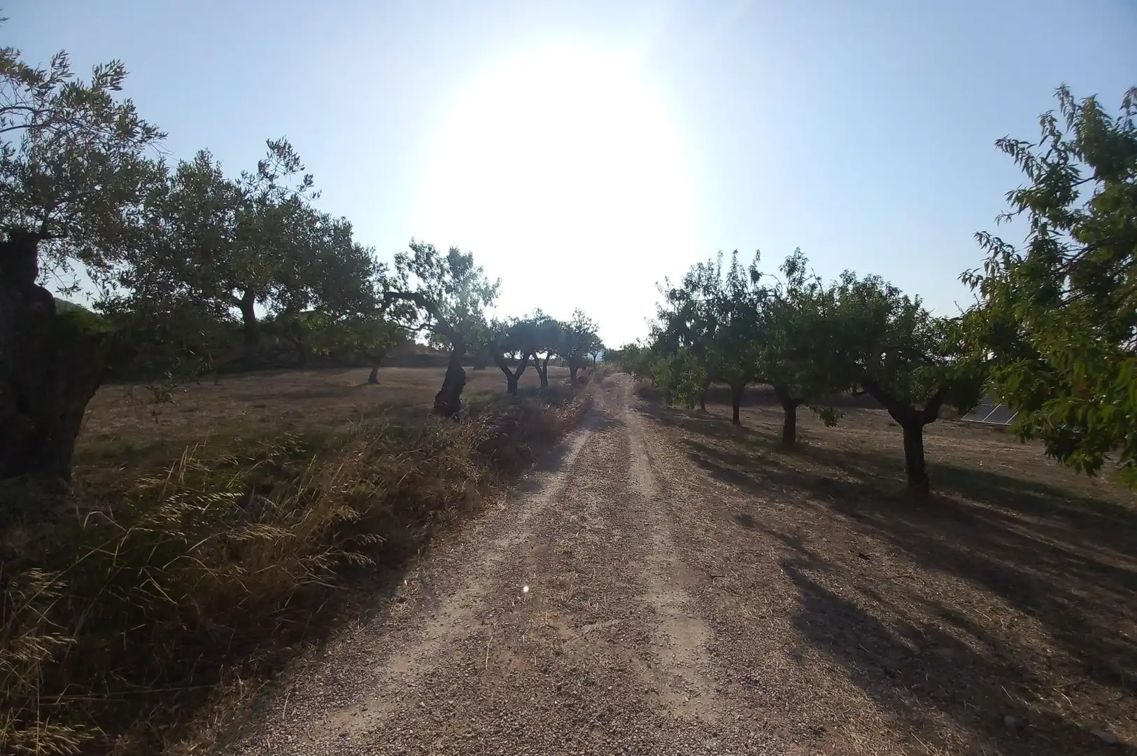 Finca rústica en venta en Rasquera