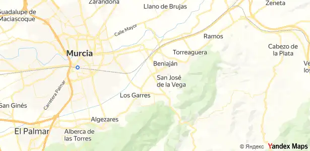 Garden of Flat for sale in Murcia