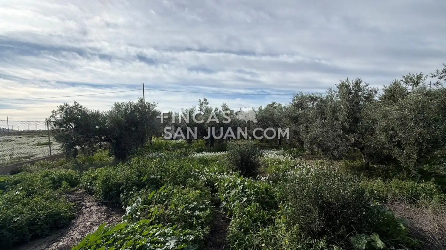 Finca rústica en venta en Centro