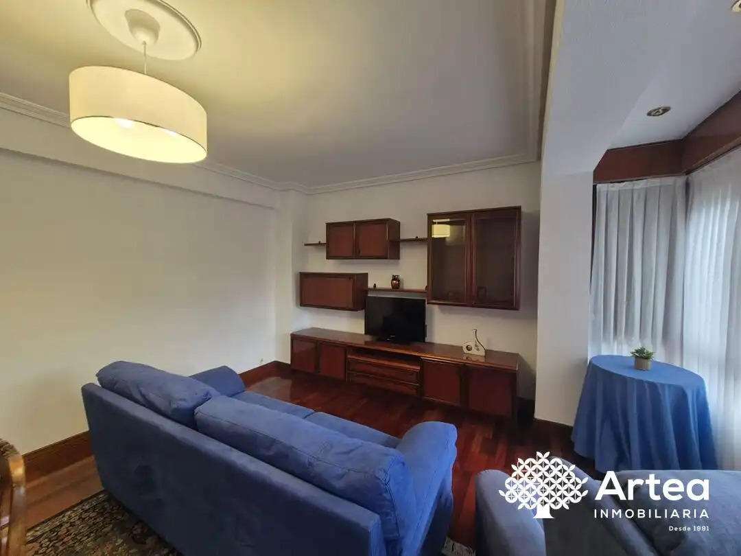 Living room of Flat for rent in Bilbao   with Heating, Oven and Washing machine