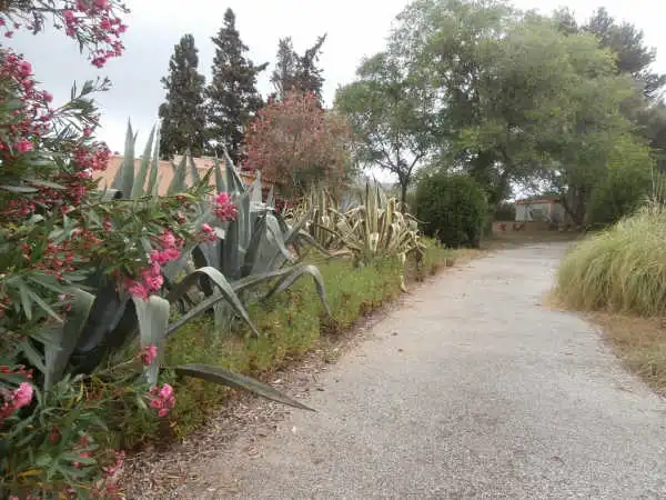 Autres à vendre à SON ALEGRE, imagen 19
