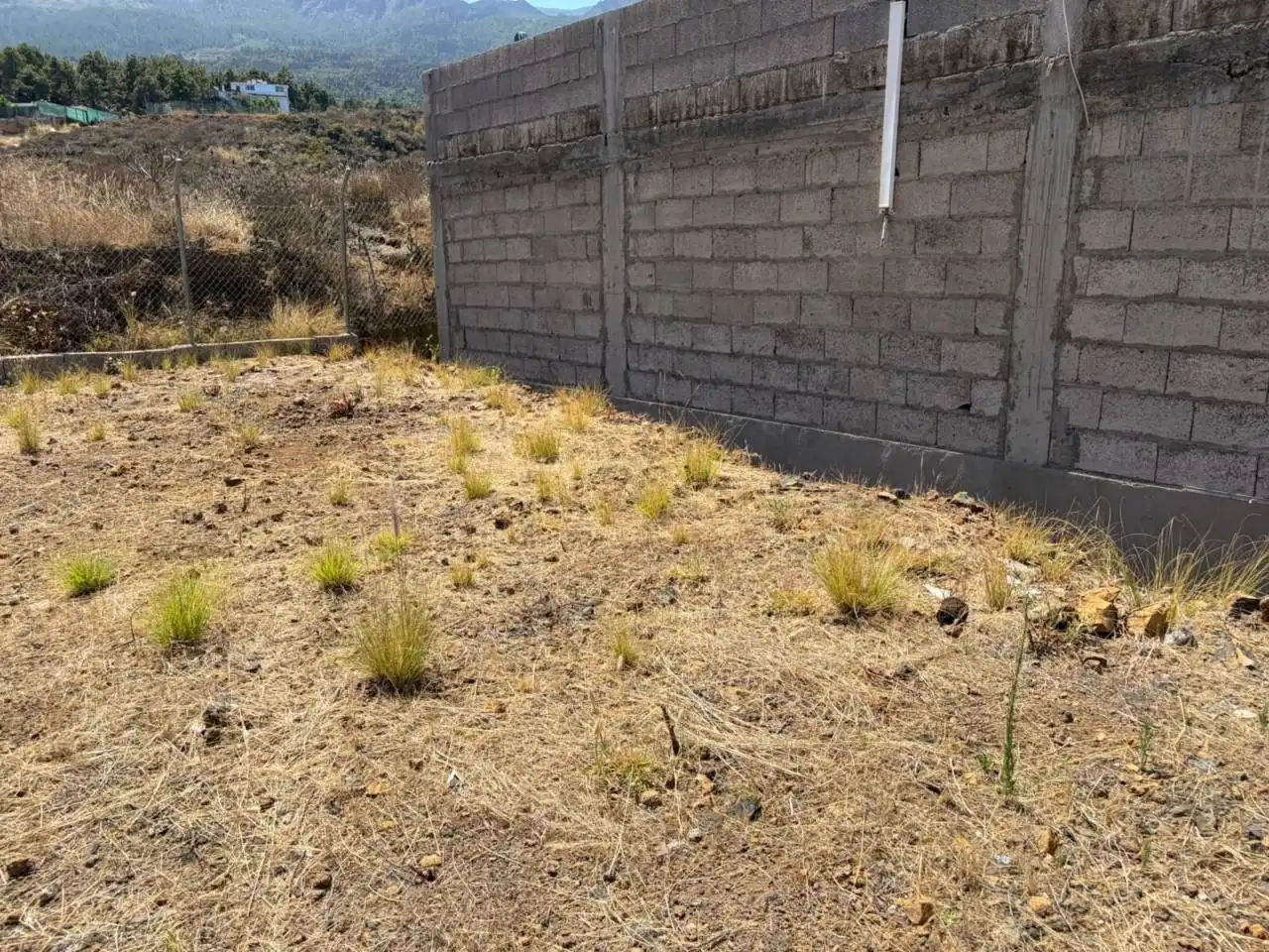 Terreny residencial en venda a Calle Ecuador, imagen 6