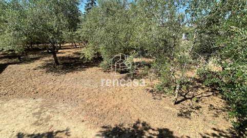 Photo 5 of Houses for sale in Avenida del Molí, Torres de Segre, Lleida
