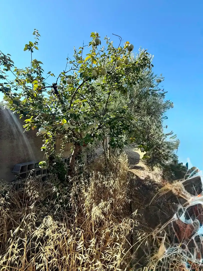 Casa en venda a Periurbano Oeste - Sierra, imagen 7