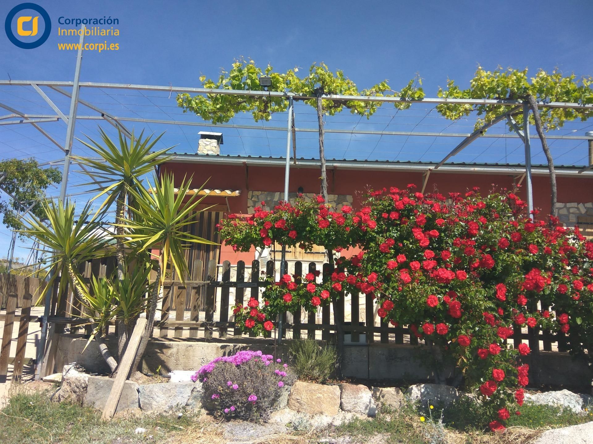 Jardí de Casa o xalet en venda en Lorca amb Calefacció, Jardí privat i Terrassa
