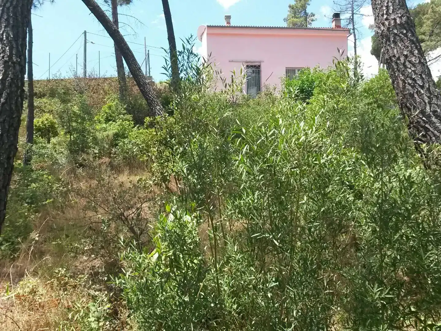 Rural land for sale in C/ Montjuic, imagen 5