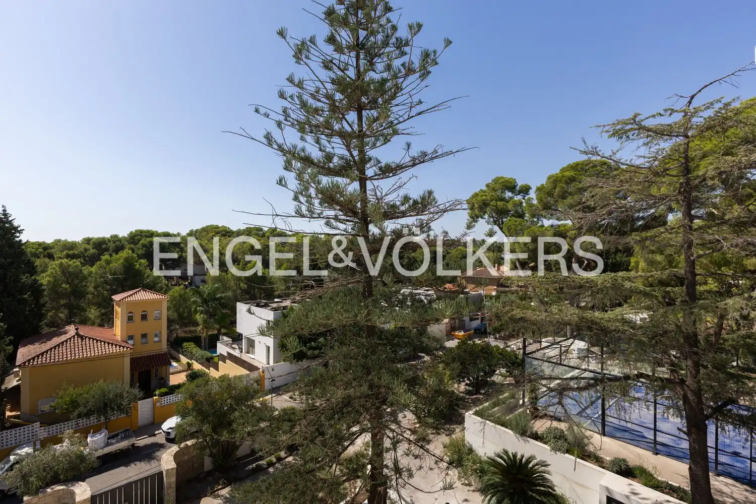 Casa o xalet de lloguer a Avinguda Acàcies, Campolivar