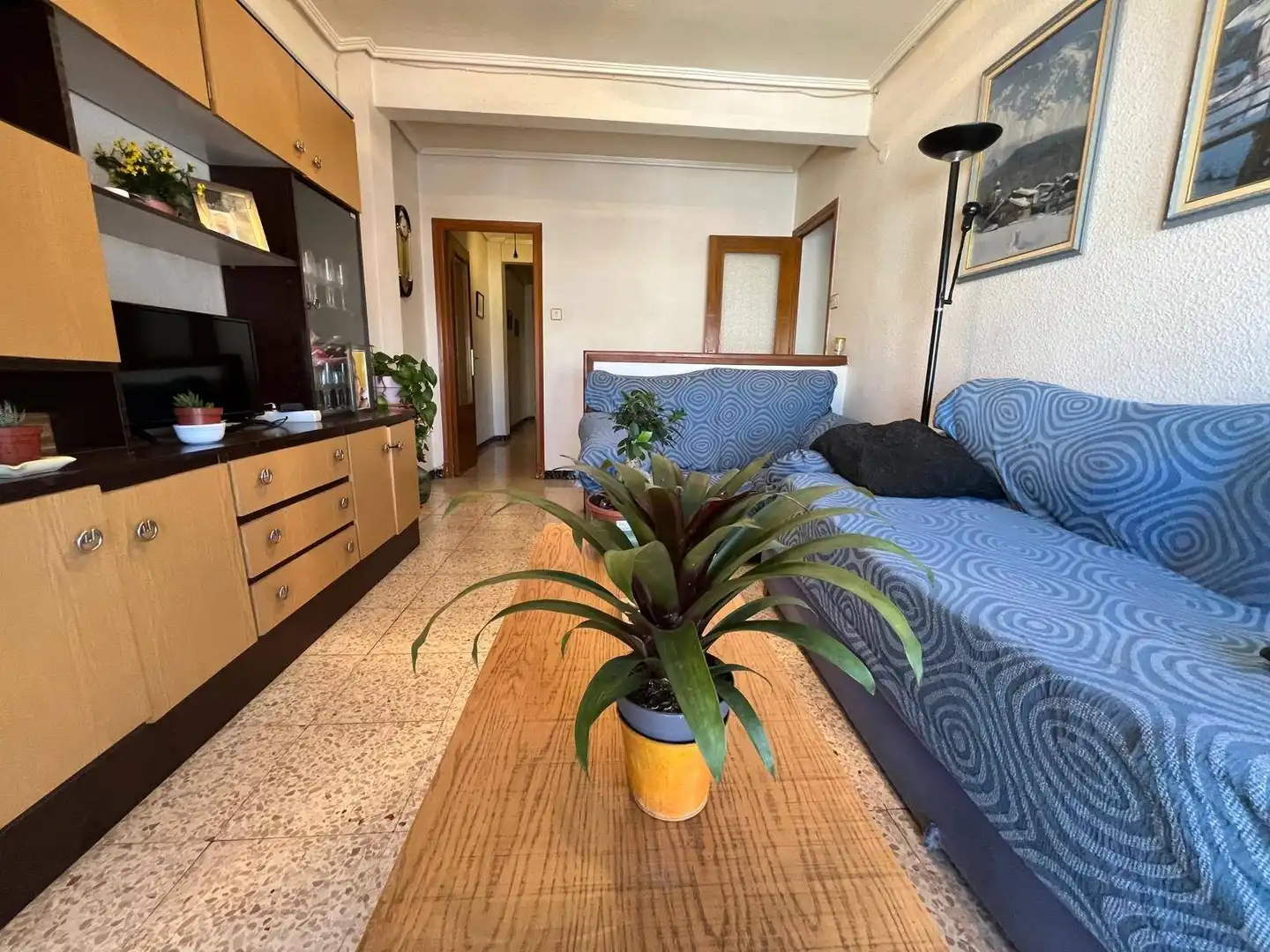 Pis en venda a Calle Calle José Javaloyes Orts, San Crispín, Elche ciudad