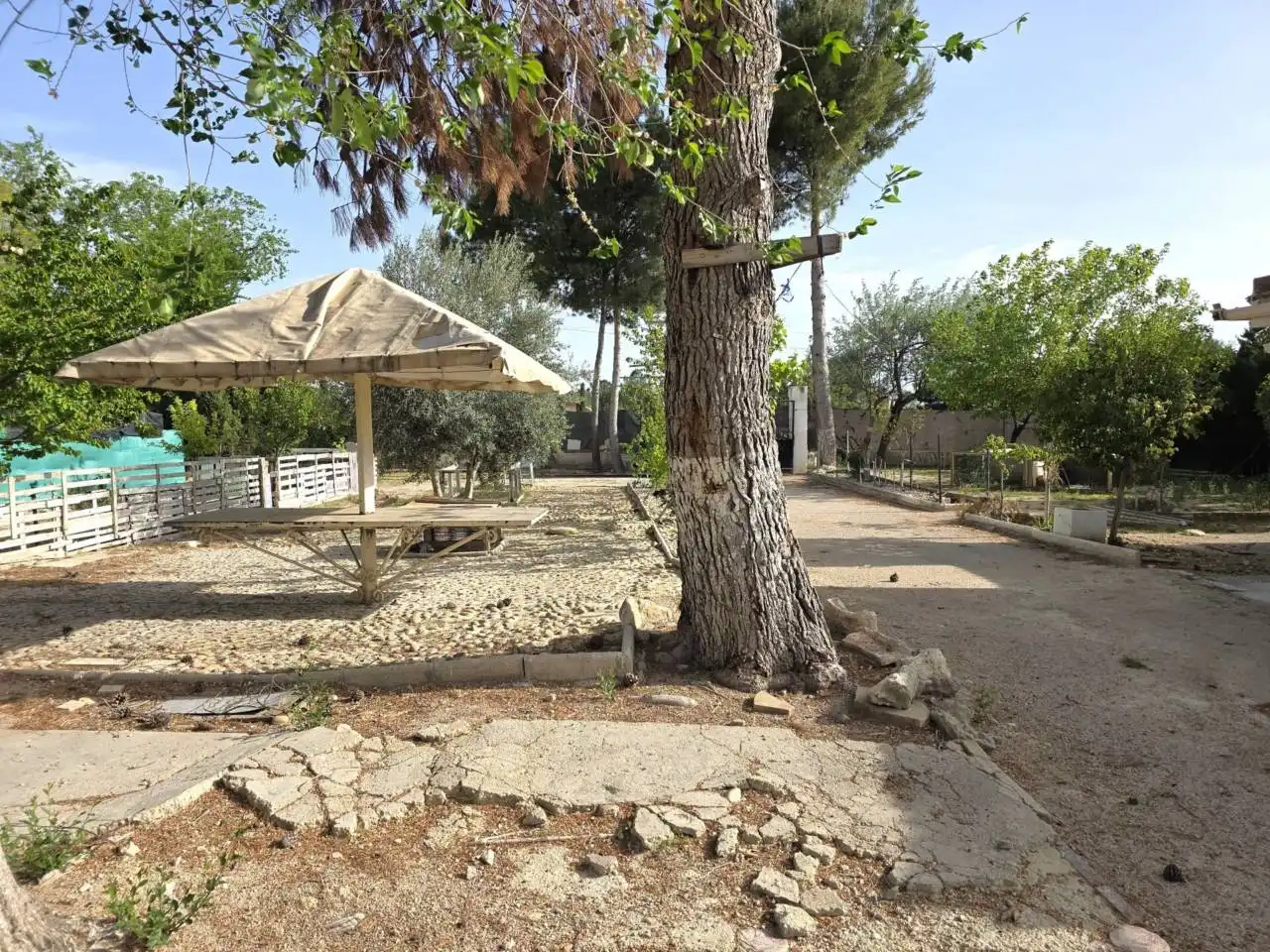 House with pool for sale in Camino Casas Viejas, imagen 15
