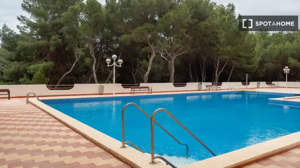Piscina de Piso de alquiler en Valencia con Aire acondicionado, Calefacción y Amueblado