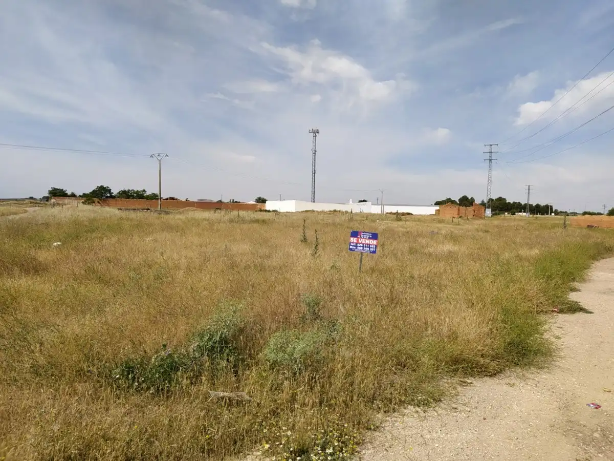 Terrenys i solars en venda a Argamasilla de Alba