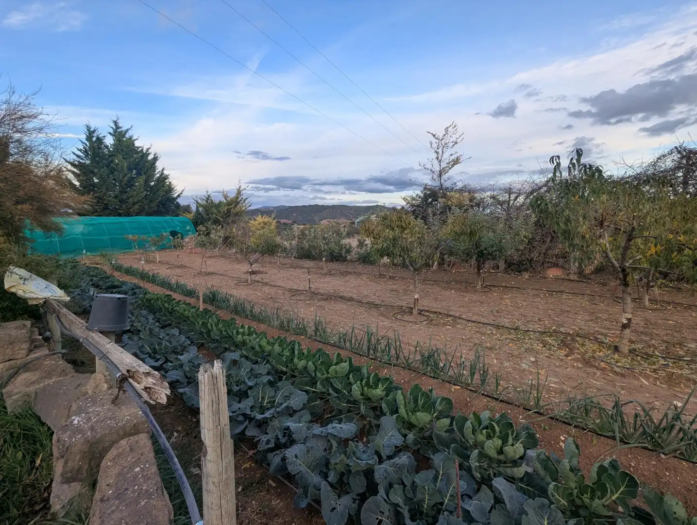 Jardín de Nave industrial en venta en Aberin