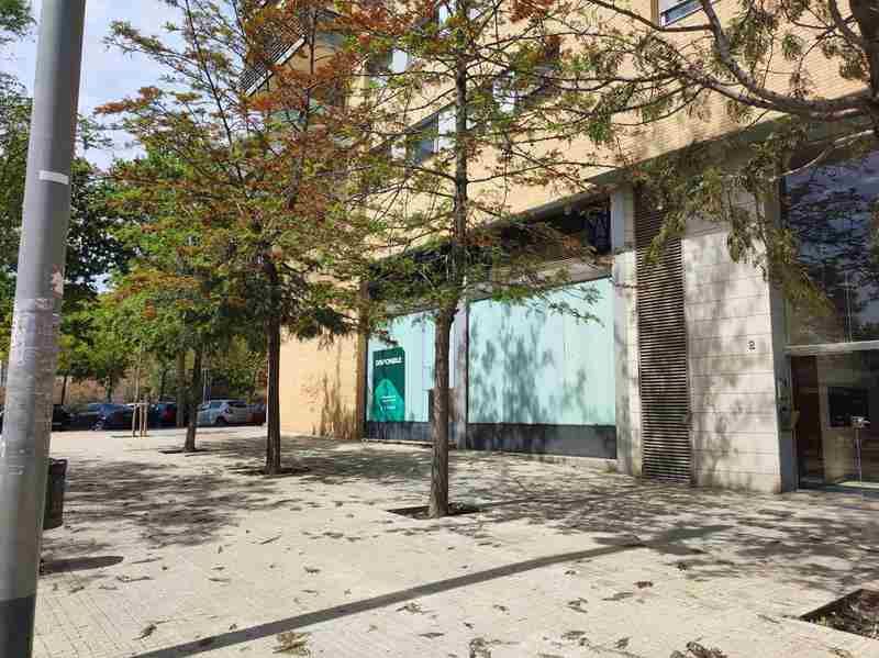 Local de alquiler en Av Llorenç Puig, Torre-roja-Campreciós