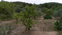 Land for sale in Estivella