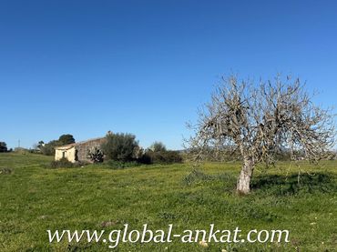 Terreno residencial en venta en Petra