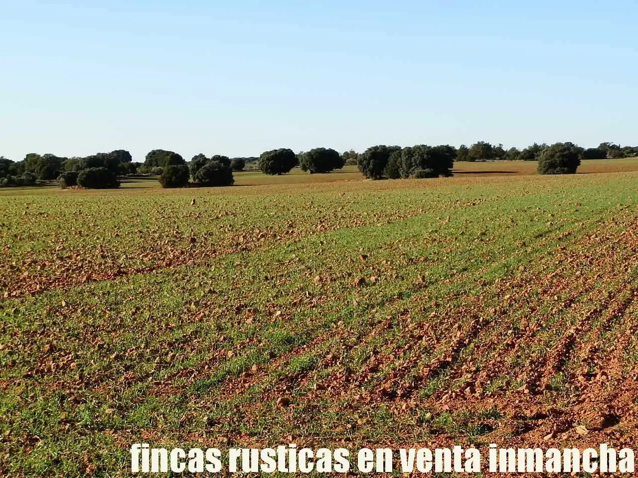 Lands and plots for sale in Ossa de Montiel, imagen 6