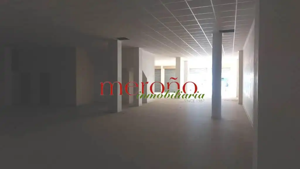 Commercial properties for rent in Elche / Elx