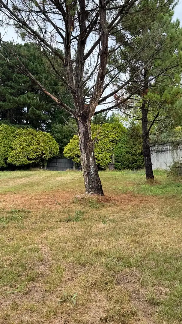 Rural land for sale in La Iglesia, imagen 18