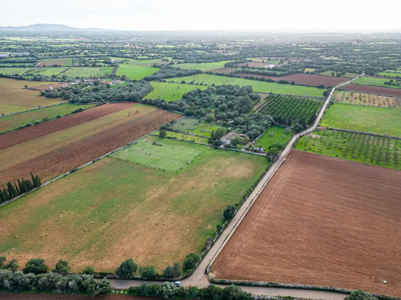 Residential land for sale in S'Horta - Cas Concos des Cavaller - Es Carritxó